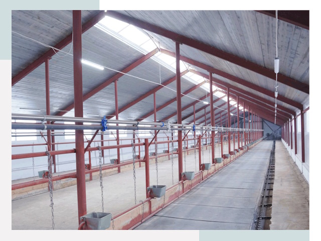 Строительство коровников в Тамбове от 609 руб.