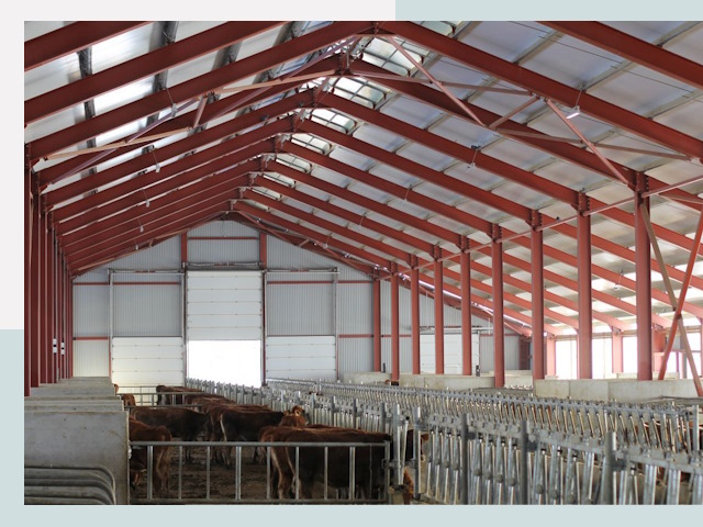 Строительство коровников в Тамбове