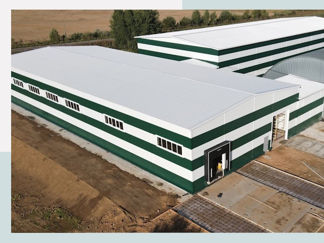 Строительство овощехранилищ в Тамбове