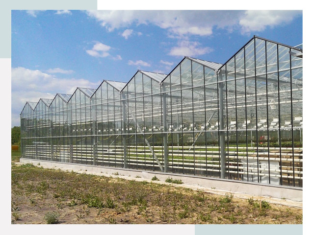 Строительство теплиц в Тамбов от 609 руб. за м²