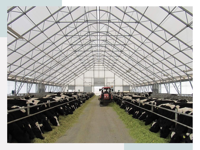 Тентовые коровники в Тамбове от 609 руб. - Надежно и доступно