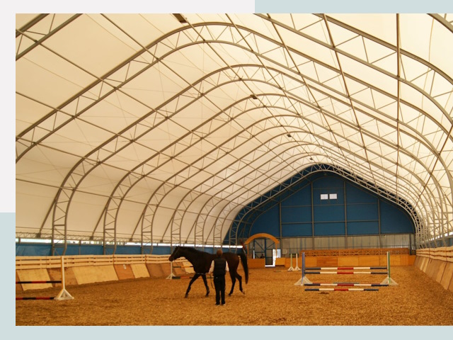 Строительство конных манежей в Тамбове